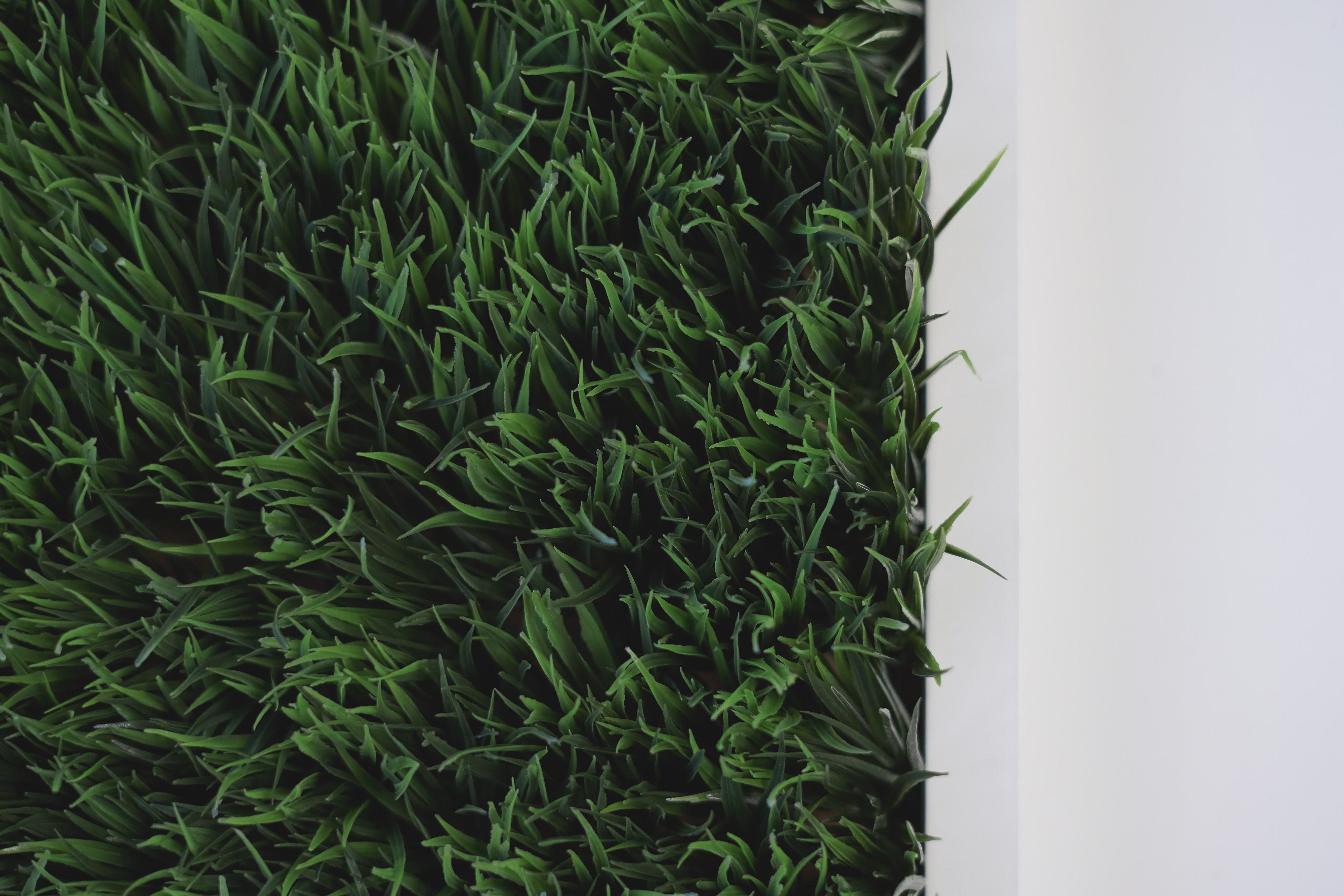 Lawn fertilizer leads to greener grass